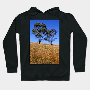 Australian Rural Scenic Hoodie